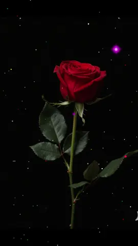 #Love#lovequotes #fypシ 