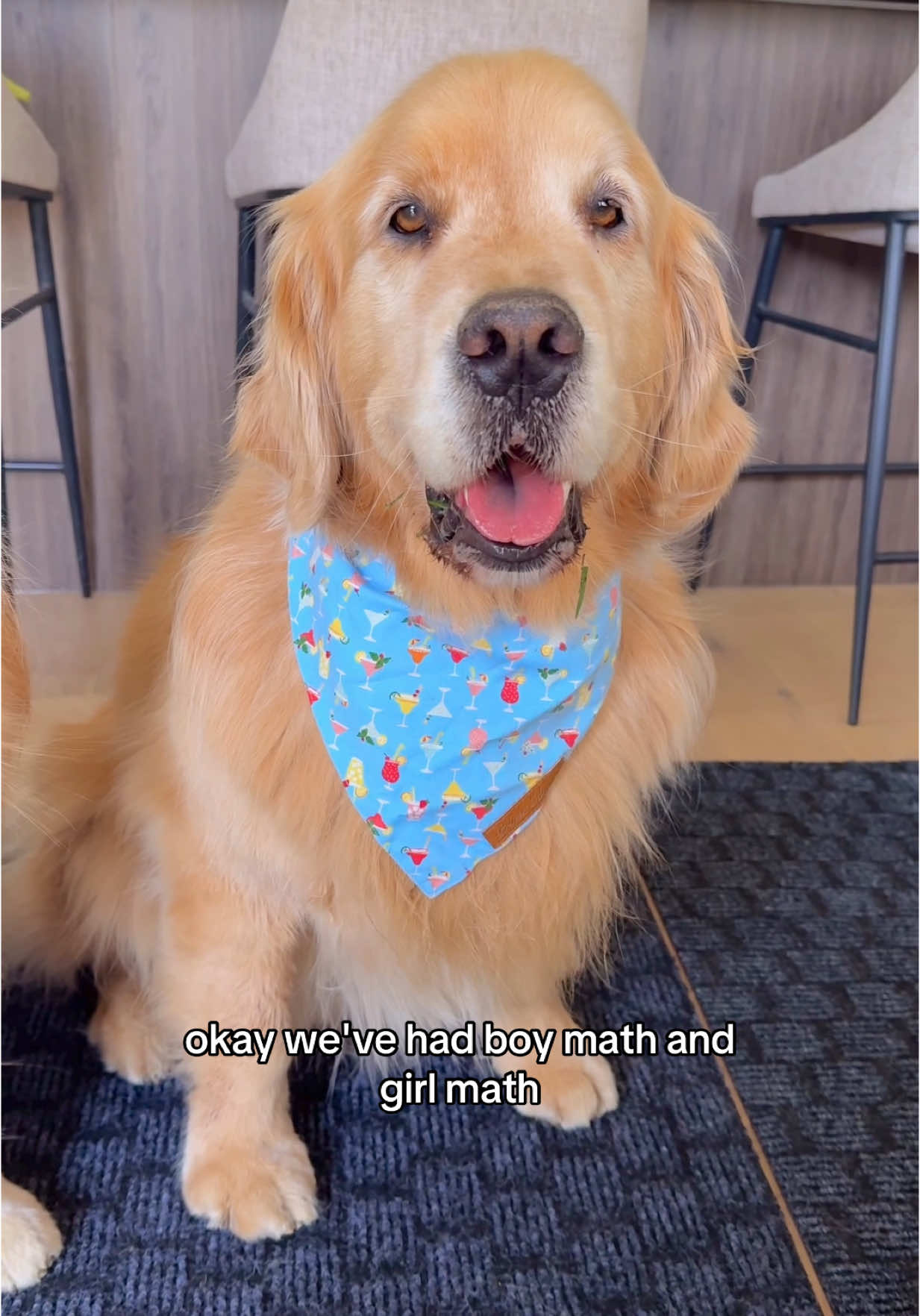 Dog math makes perfect sense .. to us 😂 #dogmath #goldens 