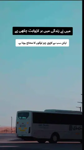 #uae🇦🇪 #pakistan🇵🇰 #saudiarabia🇸🇦 #viwesproblem #tiktokteamofficial #100millionviews #salman_writes🥀 #unfrezzmyaccount 