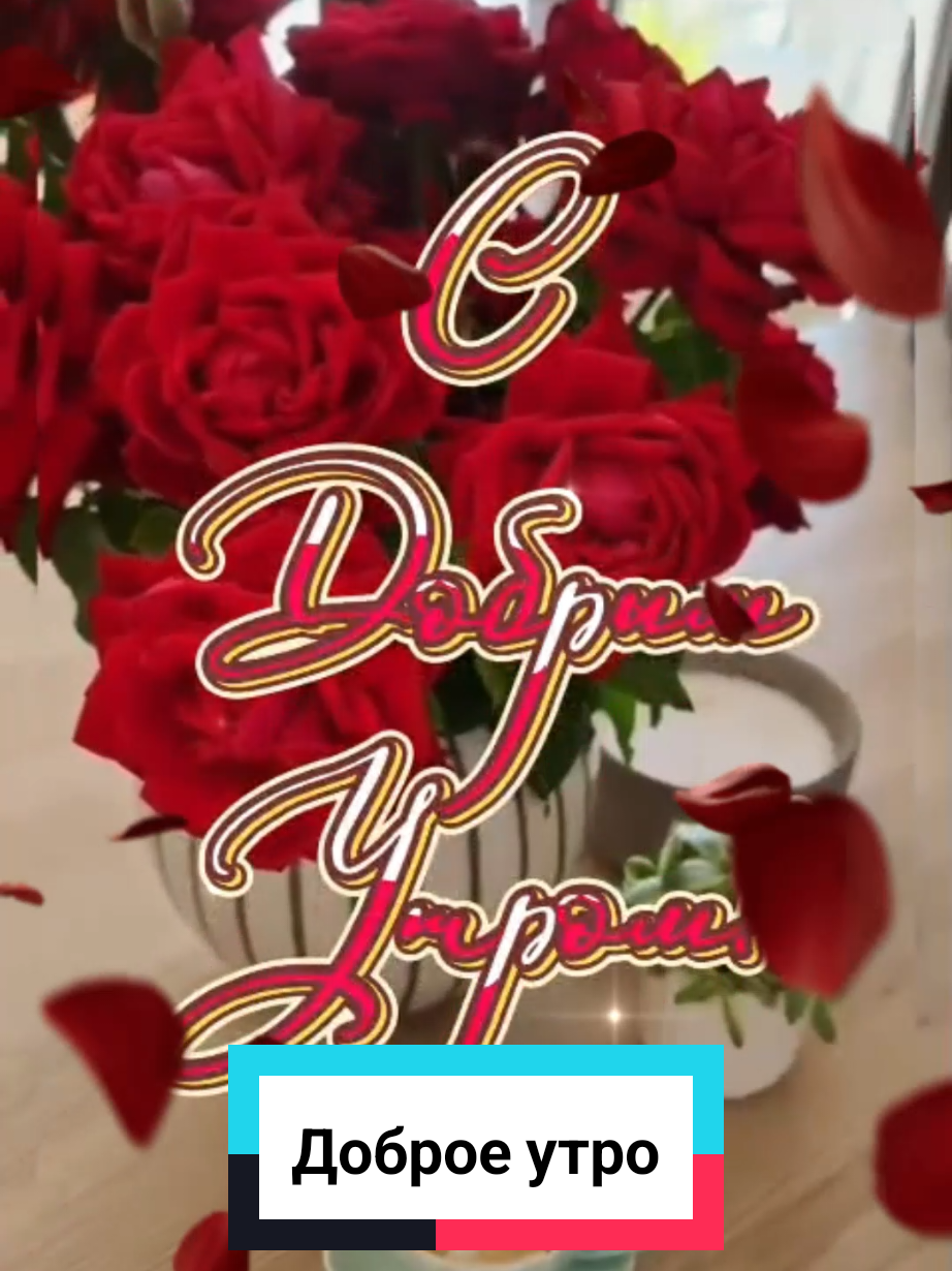 #доброеутро #сдобрымутром #доброеутродрузья #доброеутроновинки #пожеланиедоброгоутра #хорошегодня #2025 #Aida05a 