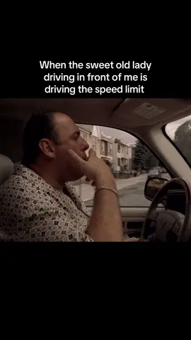 #meme #thesopranos #tonysoprano #tvshow #based 