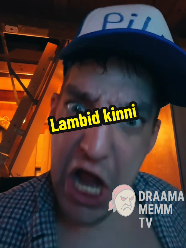 Lambid kinni! Miku on koduuuus! #mihkelalexhunt #draamamemm 