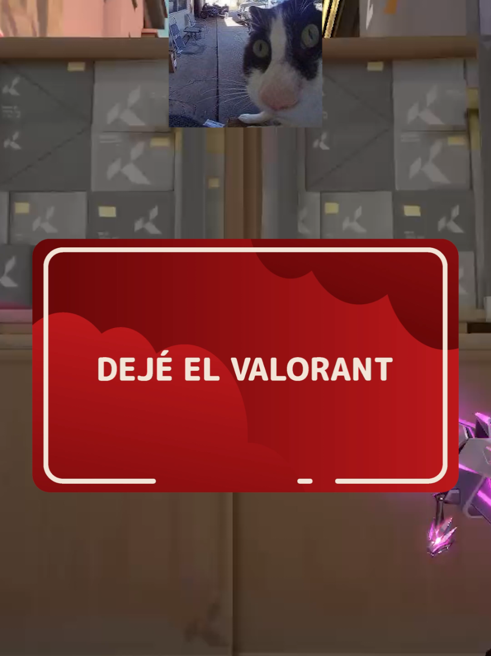 Dejé el Valorant  #Valorant #valo #valorantclips #valorantgracioso #valorantmemes #valorantfunny #aprilfx 