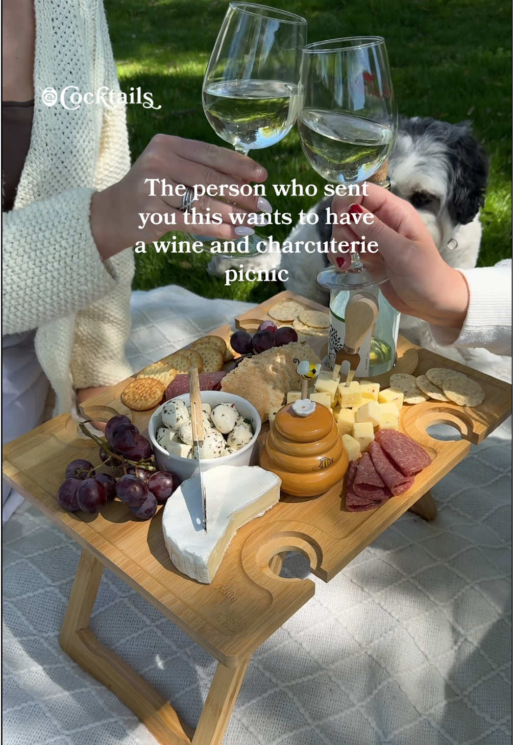 Bringing the wine & vibes to all the picnics this summer🍷 Link for the wine picnic table is in our bio.  @cocktails may earn commission through links in our socials. #wine #picnic #charcuterie #table #Summer