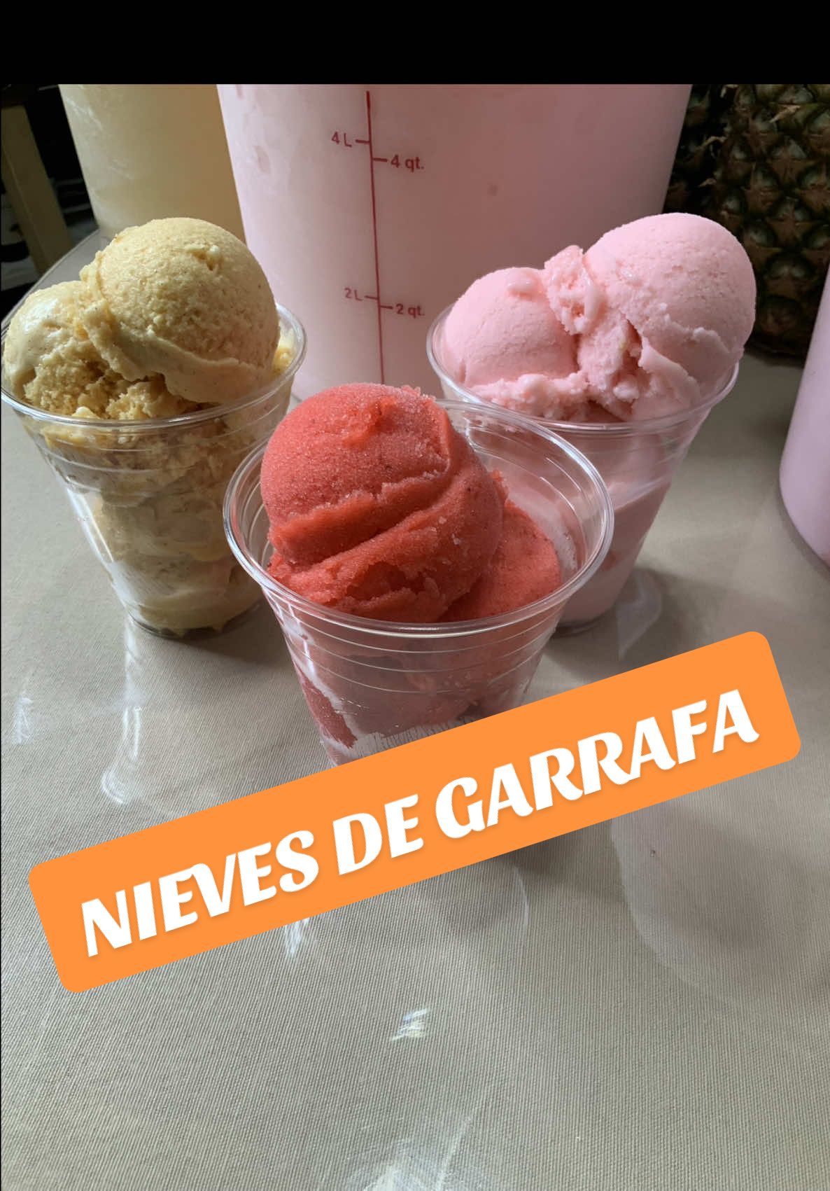 #nievedegarrafa #raspados #tejuinos #fresasconcrema #DIMAQ #mexico #business #family @Francisco Ornelas 