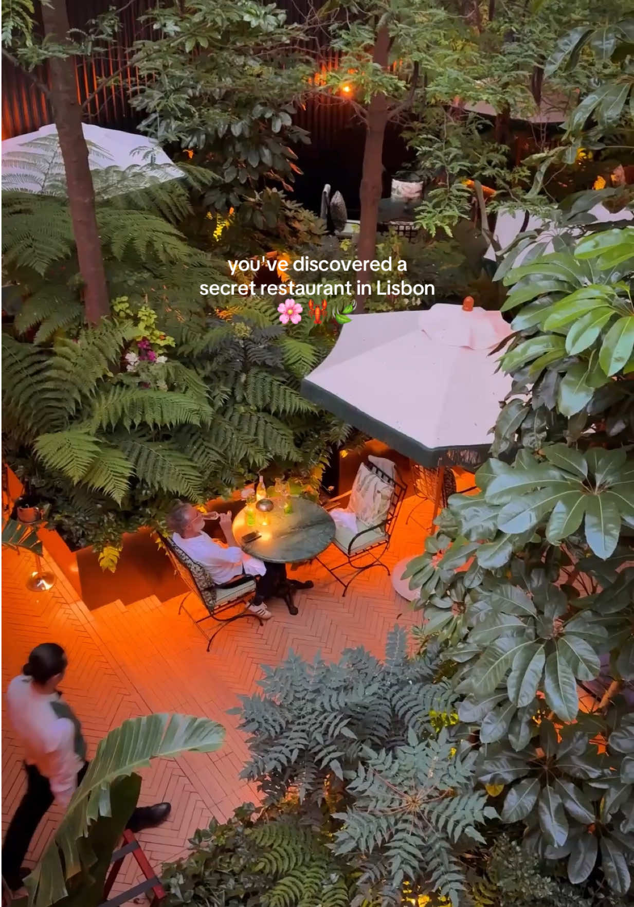 Acabou de abrir em Lisboa, num jardim secreto no coração da cidade. É um restaurante de cozinha mediterrânica, de onde nos chega o delicioso arroz de lavagante e, claro, este tiramisú. 📍@bougain.pt  🌸 dentro do hotel Valverde em Lisboa  save & share if you like it 💛 #lisboa #lisbonfood #andrechaicafood #lisbonfood #bougain 