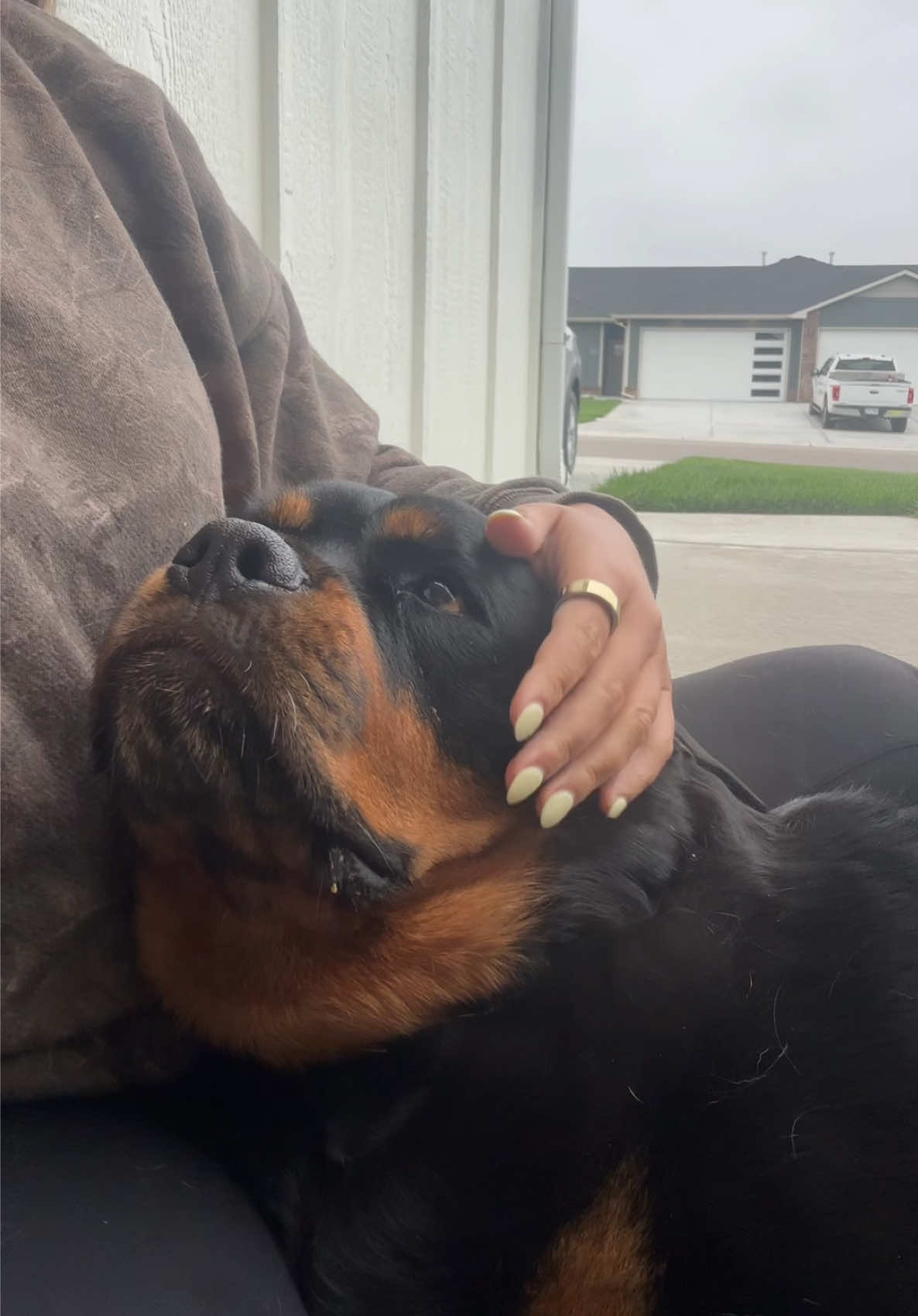 This is so funny to me  #fyp #rottweiler #dogsoftiktok 