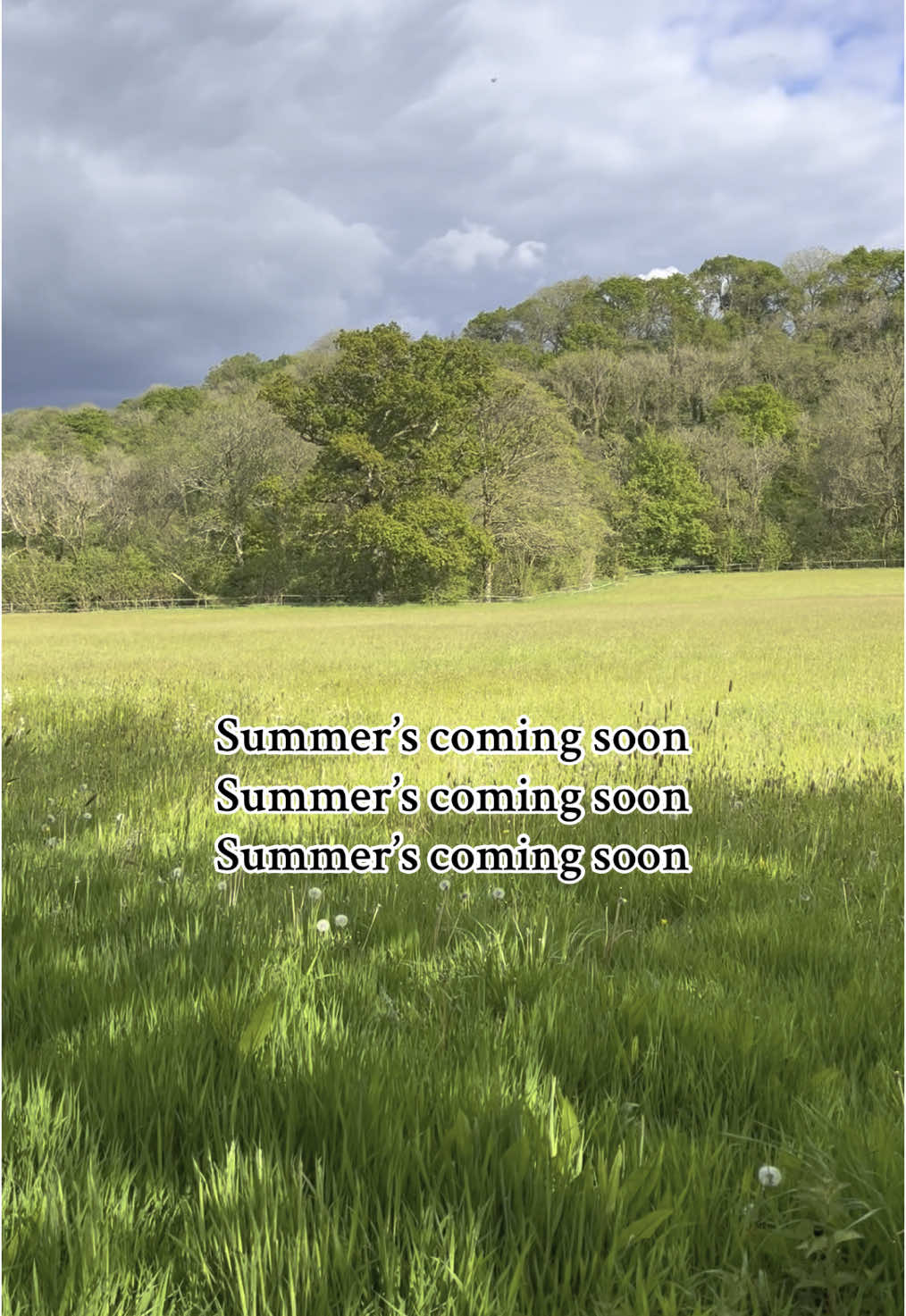 Any holiday plans?  #Summer #summer2025 #holiday #fyp #foryou #viralaudio #viraltrend #dailyreminder #sun #summerholidays #summertime #countryside #devon #england #landscape #summercountdown #nature #creatorsearchinsights #foryoupage #audioforviews