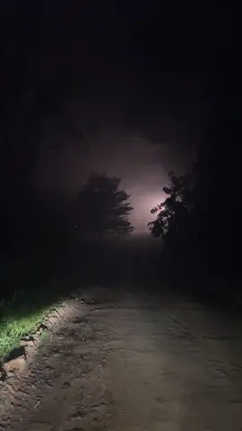 Hening  #darknight #gelap #sepi #vibes #horor #suasanamalam #soundviral #sunyi #nature #foryou 