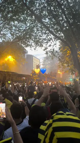 Fenerbahçe bekoo 💛💙🤩 #fenerbahçe #fener #fenerbahçebeko #gfb #gençfenerbahçeliler #şampiyonluk #bağdatcaddesi #caddebostan #fenerbahcem #şampiyonfenerbahçe #fenerbahçe💛💙 #alikoçistifa #fyp #fypシ゚ #kadıköy #şampiyon #fenerbahçebasketbol #sarılacivert #şampiyonfenerbahçe 
