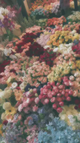 .ෆ˚₊🌷🫧💭₊˚ෆ. . . . . . . ..#ام_كلثوم  #زمن_الفن_الجميل  #كان_لك_معايا_اجمل_حكاية_في_العمري_كله🖤   #بدون_موسيقى  #ورد #withoutmusic #اكسبلور_explore  #fyp #fypシ #girlpower 