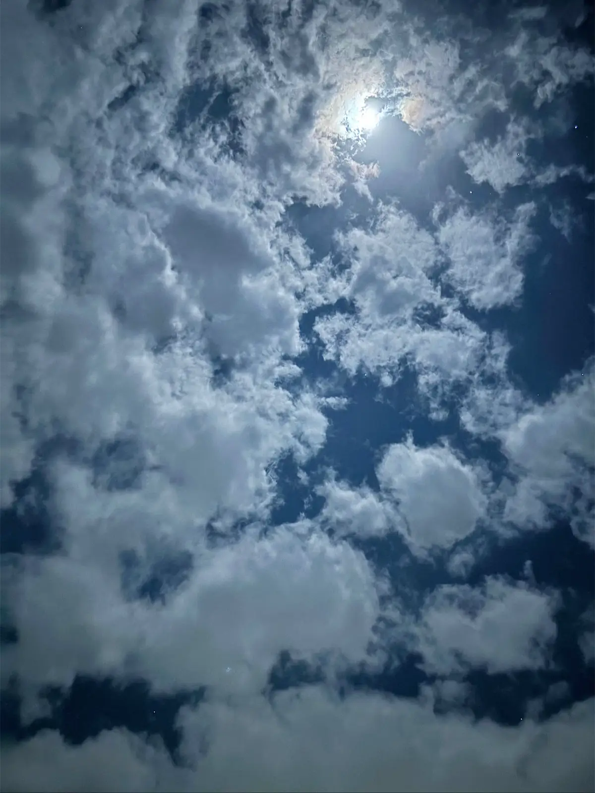 #تصويري #تصويرليلي #fyp 
