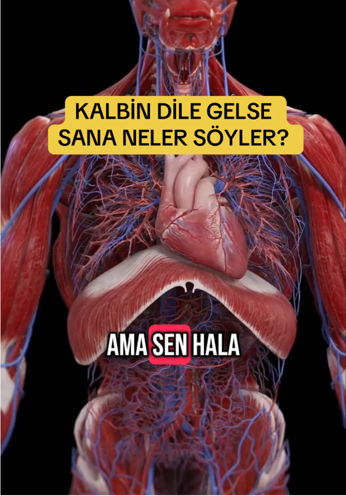 Peki sana neler söyler hiç düşündün mü?  #sağlık #doğal #şifa #hastalık #kalp #damar #doğalyaşam #sağlıklıyaşam #bilgilendirici #bilgi 