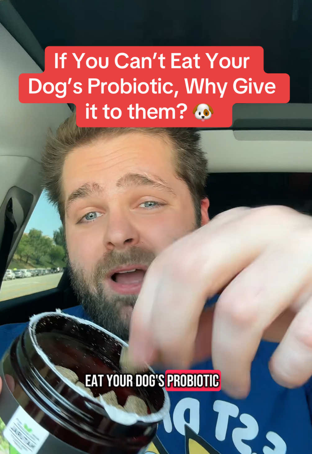 After countless $300 vet appointments just to temporarily fix the problem. These probiotics solved the root cause #dogprobiotics #dogitchyskin #gassydog #dogsoftiktok #doglover #dogdad #doghealth #doghealthtips 