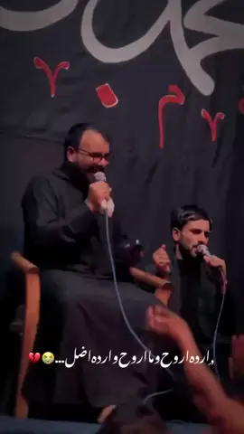#موكب_الاحزان #ملافاضل_عواد 