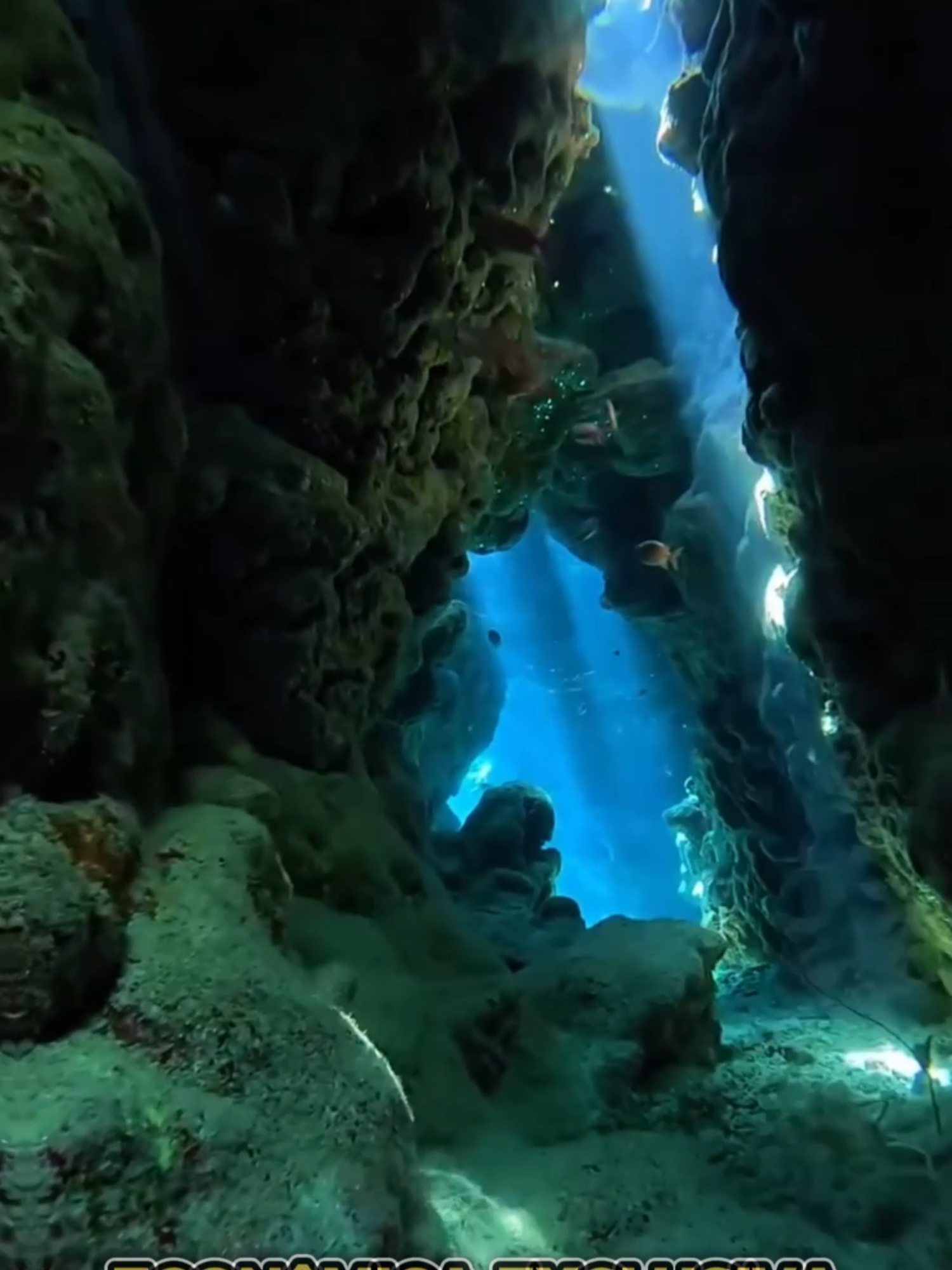 🌎Ilha Submersa do Brasil Pode Mudar o Mapa!