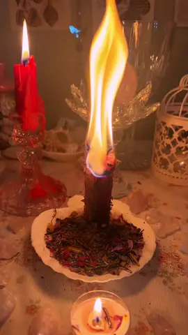 “come back to me” spell. dm for details if ur interested in booking! this was a more gentle reconciliation spell, so nothing extreme.  #witchcraft #witchtok #fyp #foryoupage #xyzbca #goviral #aphrodite 