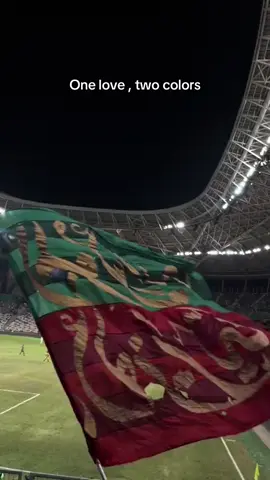 Just for 🔴🟢#ugc12 #aem #uttp #virage_sud_mouloudeen #mouloudia_1921❤💚 #