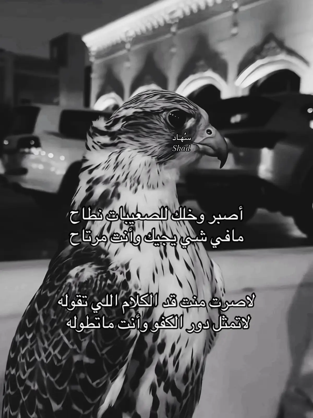 #سُهـاد #tiktok #explore #viral 