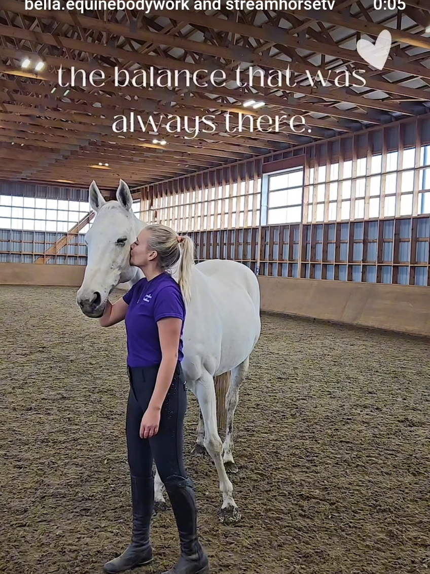 At Bella Equine Bodywork, I don’t force change… …I hold space for healing to emerge 🪽 🔗 in bio to learn more 💜 🥰🎥 @bella.equinebodywork  . . . #equinebodyworker #btmm #equestrian #equinewellness #happyhorse #equinewellbeing #equinebodywork #horsegirl