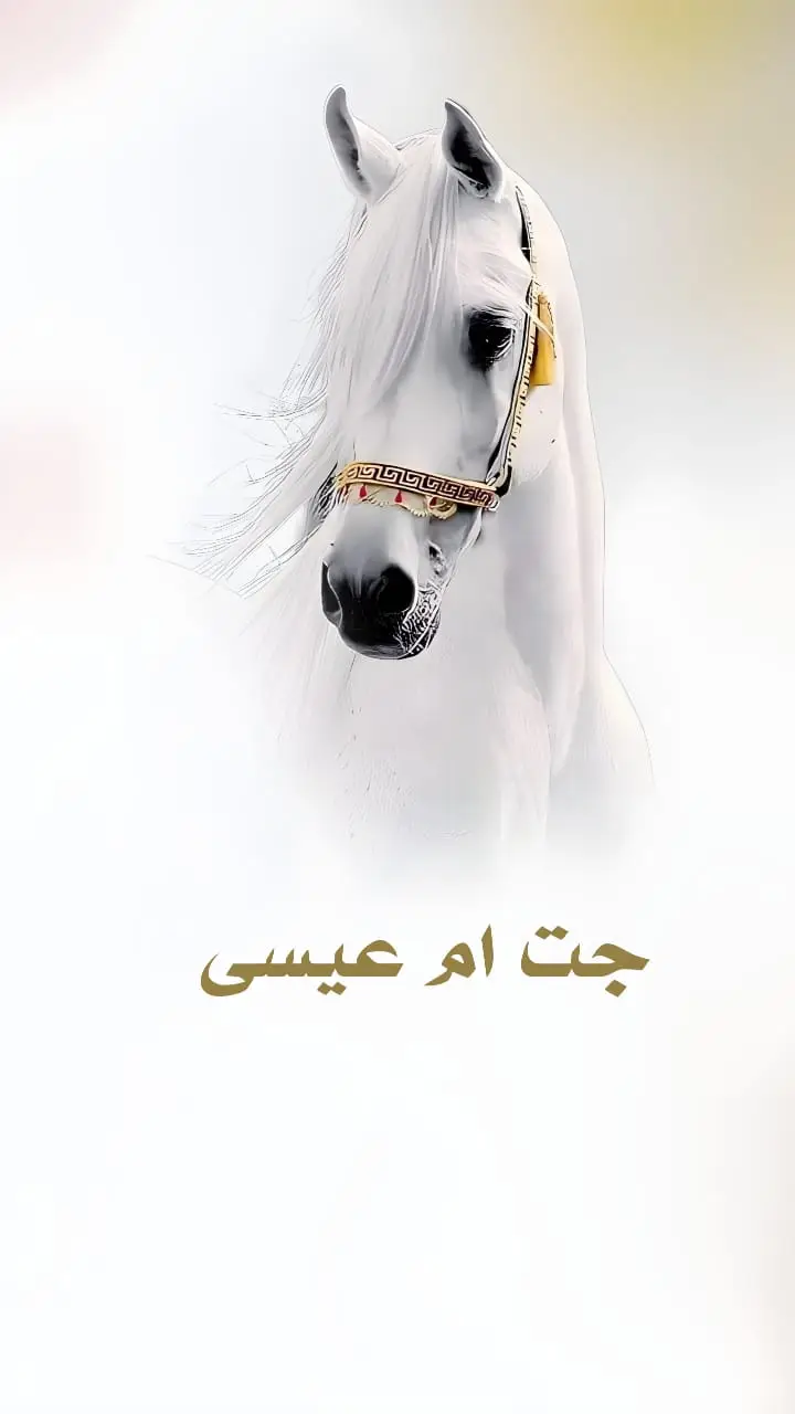 #شيلات_ترحيب #شيلة_ترحيبيه #ترحيب_غالي #ارحبو_ثم_ارحبو #ترحيب #استقبال_الضيوف #شيلات 