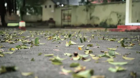 video ini karya dari tim angkasa atas nama (Laila,Faizah,Dian) Dari Institut Kariman Wirayudha Lomba Video Kreatif (Pancasila dalam Tindakan) #bemkmwiraraja2025 #harmonimultikultural 