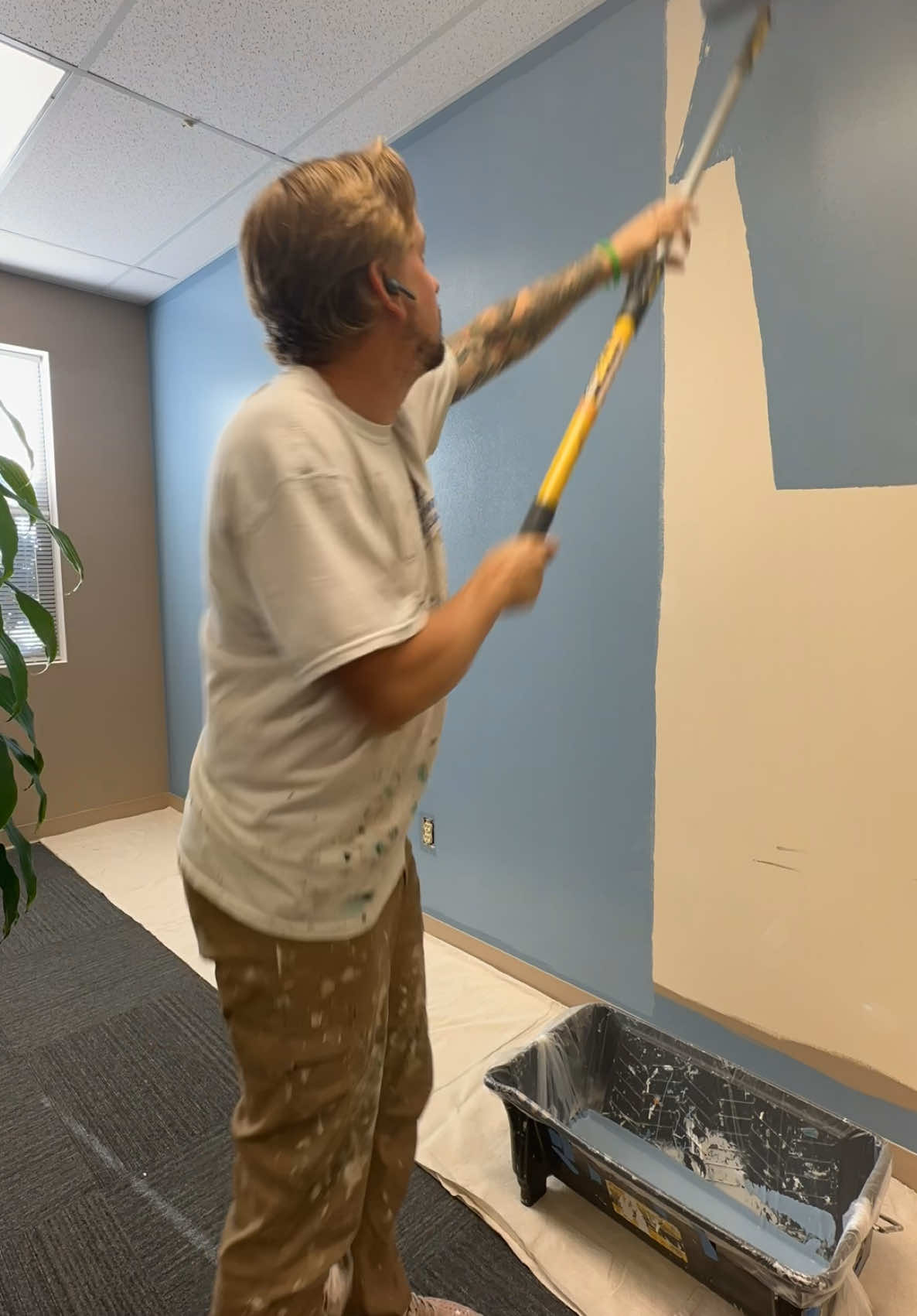 Why is rolling so satisfying to watch? #satisfying #paint #painter #painting #fy #fyp @sherwinwilliams @Purdy Paint Tools 