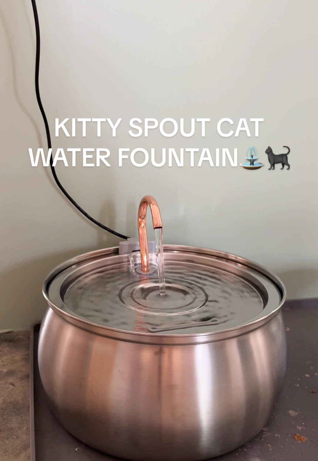 @kittyspout Martin is so excited!!!!!! cats love running water so had to make sure the baby has the best🤍🙌🐈‍⬛⛲️ #cat #kitten #catfountain #water #rescuecat 