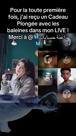 Je l'ai tellement apprécié ! Merci, 🦋داعمة حسابات🦋 ! C'était la première fois que je voyais ce Cadeau dans mon LIVE.@🦋داعمة حسابات🦋 #livegift #whalediving #plongéeaveclesbaleines 