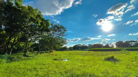 যে পরিবর্তন ধীরে ধীরে আসে তার প্রভাব কিন্তু দীর্ঘস্হায়ী হয় 🙂  #fyp #foryou #foryoupage #anfeezemyaccont #edit #viral @TikTok Bangladesh @TikTok 