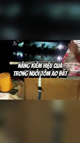 Nâng kiềm cho ao đất.             p/s: maya #xuhuong #nuôitomcongnghecao #nuôitomthe #nuoitom #đlhoaxinh #hoaxinhfc 