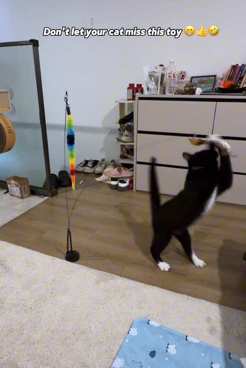 #catsoftiktok #cat #cattoys #pet #chirpingbirds #catplaying #flappybird #catlover #meme 