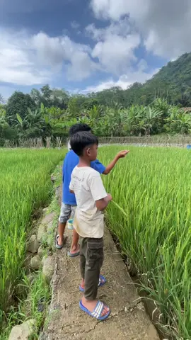 Indahnya di masa kecil ✅👍🙂