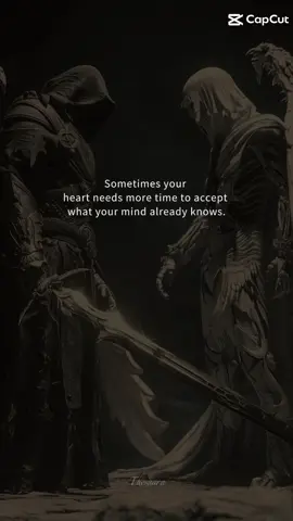 #CapCut 