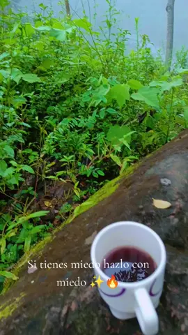 🔥♥️ #belleza #naturaleza #campo #vida #lugarfeliz 