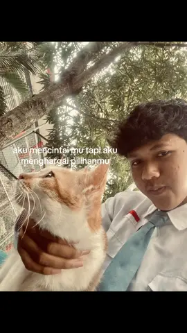 #fypシ 