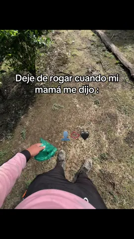 #fyp #vir #vida #solo #agro ☘️