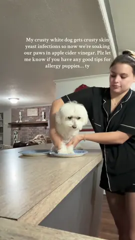 Poor guy really is crusty #crustywhitedog #dogsofttiktok 