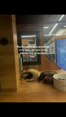 😕😕😕.•.•.•.•