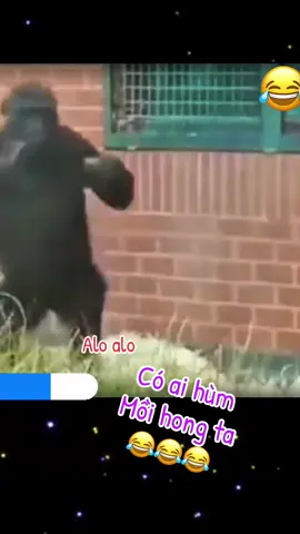 Alo alo có ai hùm mồi hong ta …😂😂😂