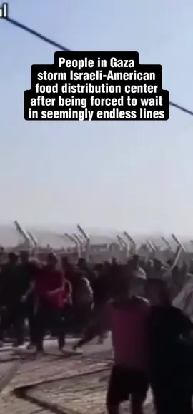 The poor people of Gaza are starving.  and before you judge, Americans do this at target on black Friday 