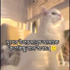 মুখে কথা আসার আগেই চোখে পানি এসে পরে...!!😅💔🥀#fypシ゚ #virall #foryou #trinding #foryoutrick #foryoupage #Bangladesh🇧🇩 #fyyyyyyyyyyyyyyyy #fppppppppppppppppppp @TikTok @TikTok Bangladesh 