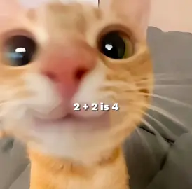 #CapCut 