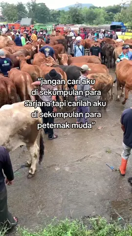 bismillahirrahmanirrahim  #fypp #setiafarm #pengensukses #pengusahamuda #motivasisukses #motivasihidup #remindertomyself 