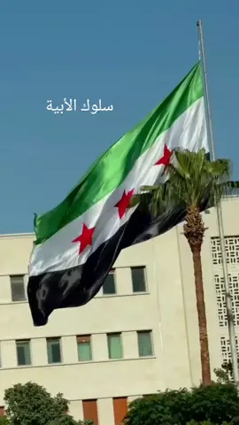 سلوك حرة آبية  #سلوك_تل_ابيض_راس_العين_نبع_سلام #كتيبة_عائشة #القادسية
