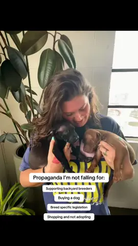 My favorite breed is rescued.  #adopt #adoptdontshop #rescuedog #rescuedogsoftiktok #rescuedismyfavoritebreed #fosteringsaveslives #fosterdog #fosterdogsoftiktok #rescuedismyfavoritebreed #fosterpuppy #puppytiktok #weratedogs #adoption #adopted #dogsoftiktok #pittiesoftiktok #pibblesoftiktok #apbt #muttsoftiktok #mutts 