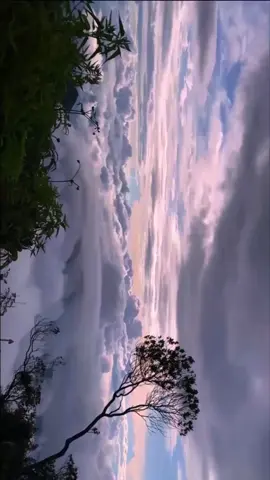view rogojembangan cuma 2000 mdpl 🤩 #pendakiindonesia #pendakigunung #4u #petungkrionopekalongan #pekalonganhits #rogojembangan2177mdpl 