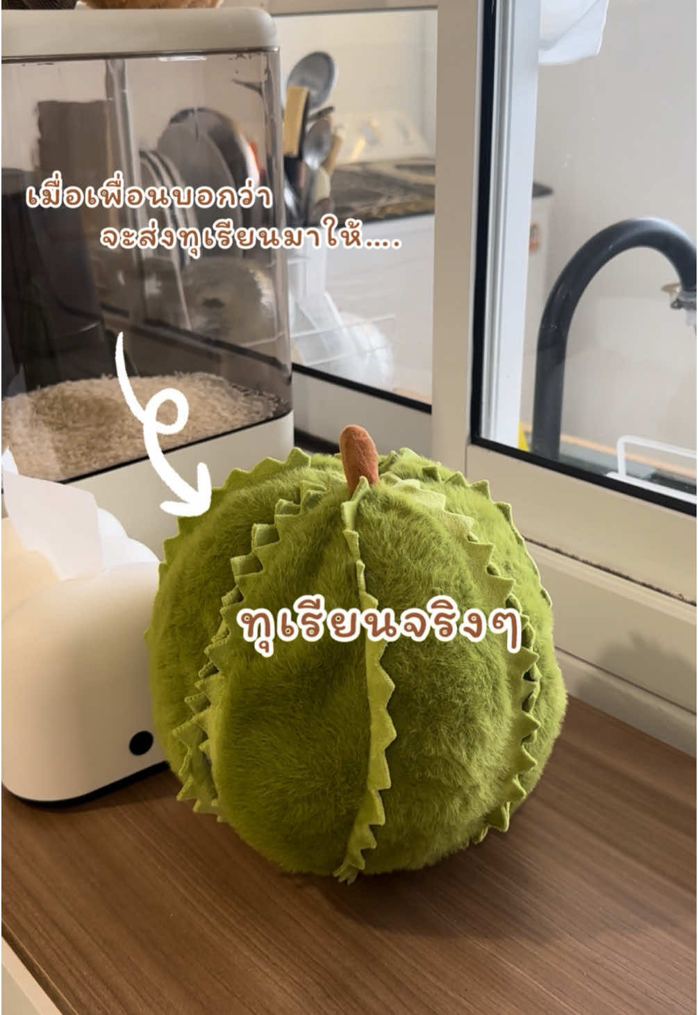 เมื่อเพื่อนขอที่อยู่  บอกว่าจะส่งทุเรียนมาให้ #ตุ๊กตาทุเรียน #ของเล่นเด็กเด็ก #ห#หมอนทุเรียนแกะได้#ตุ๊กตาทุเรียนแกะได้ #ของขวัญ 