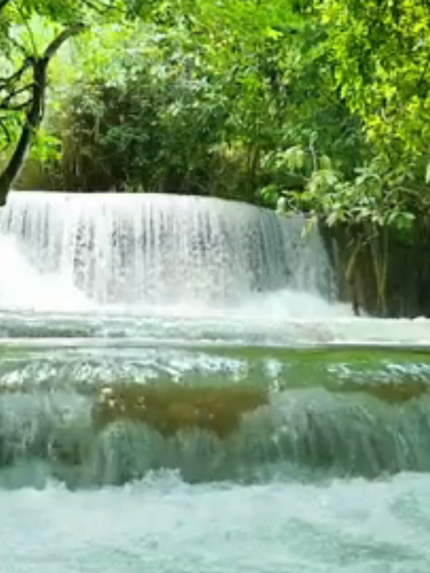 Phải lòng trước vẻ đẹp hùng vĩ của thác nước Kuang Si, Luang Prabang. Anh/Chị có dự kiến đi du lịch Lào liên hệ với em ạ.