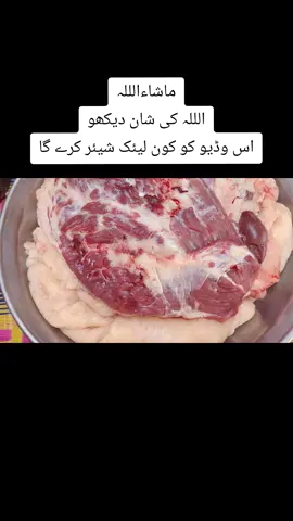 #foryoupage #shiekhg404sargodha 